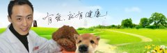 南京艾貝爾寵物醫(yī)院 醫(yī)師王亮